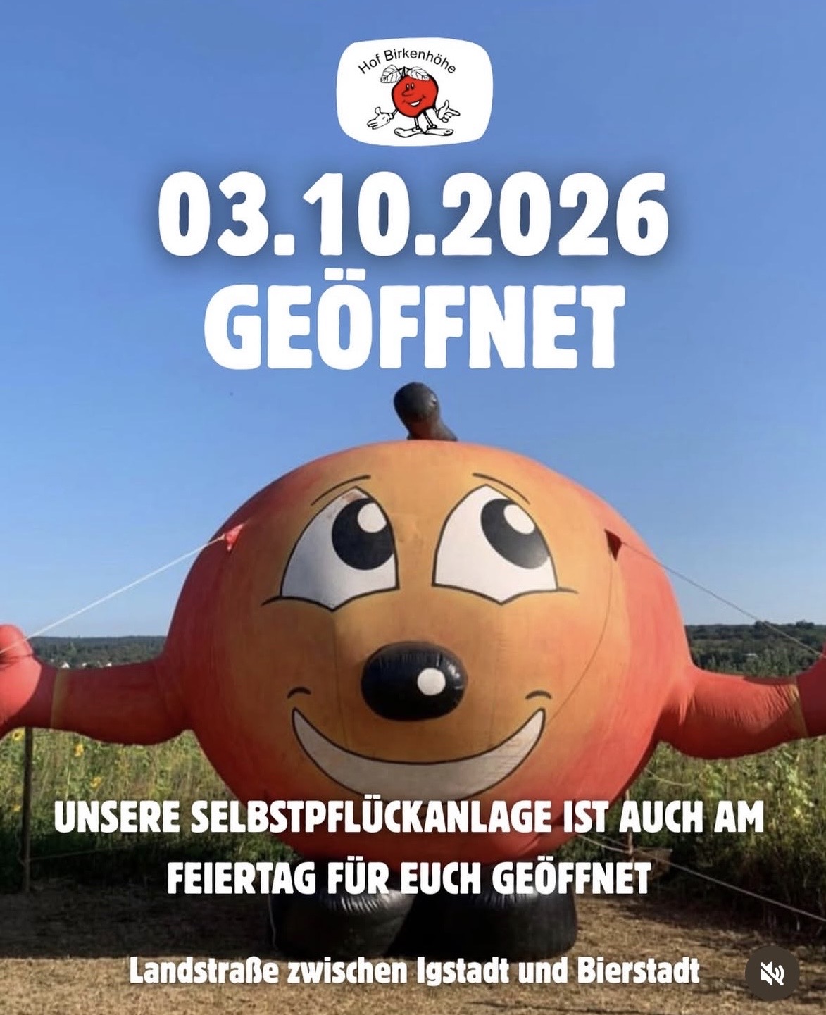 Selbstplücken am Feiertag!!